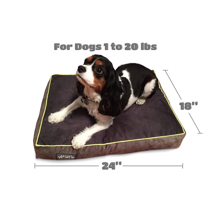 Better world shop dog bed